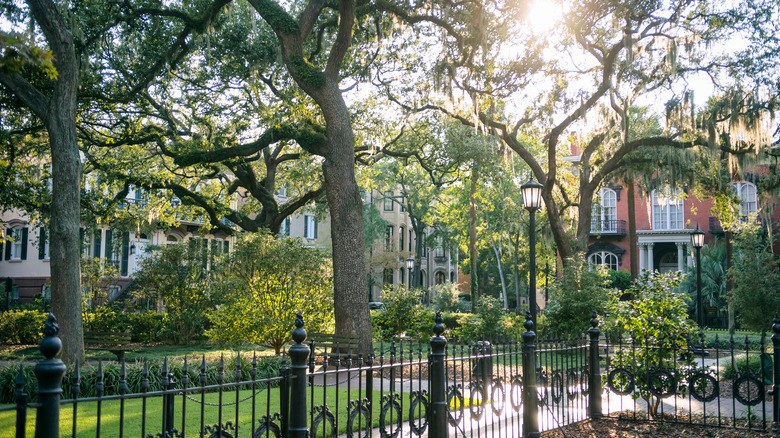 Savannah public garden