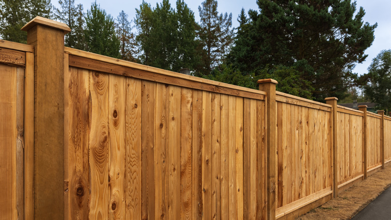 Wooden privacy fence with trees peeking out behind it