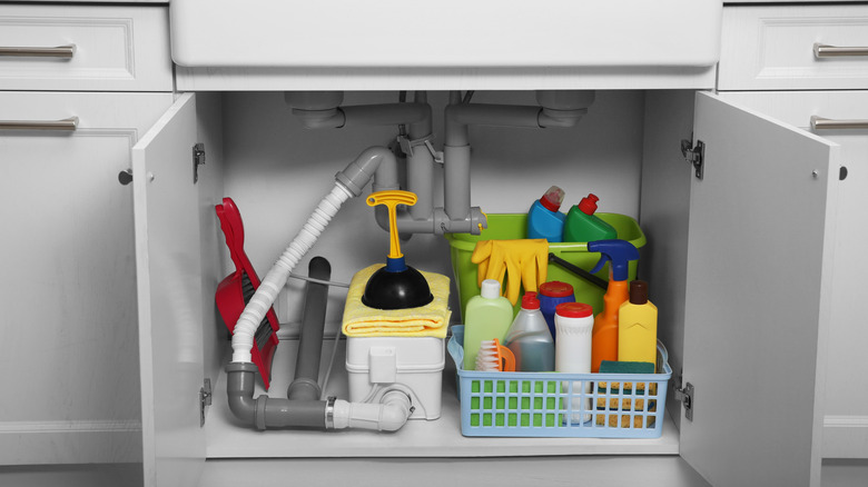 Open under-the-sink cabinet with cleaning supplies.