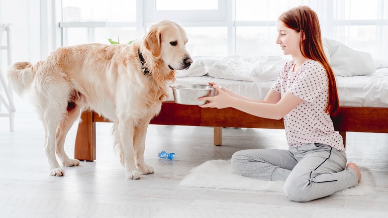 Feeding dog in the bedroom