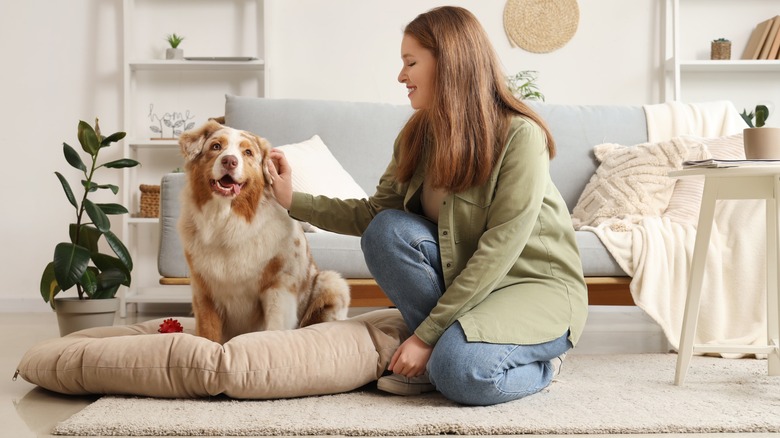 Woman petting dog on pet bed