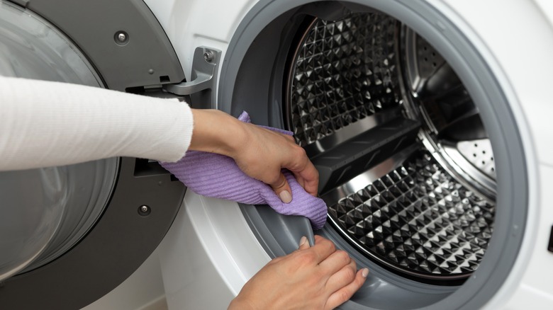 Person cleaning washing machine gasket