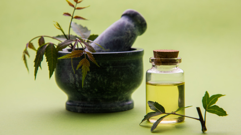 bottle of neem oil