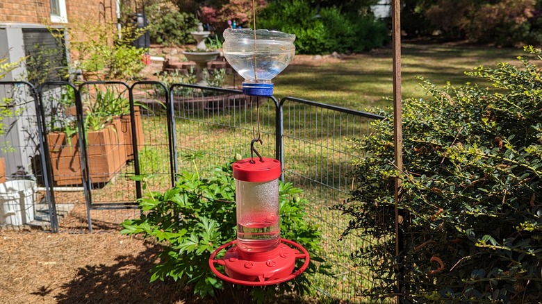 hummingbird feeder with ant moat