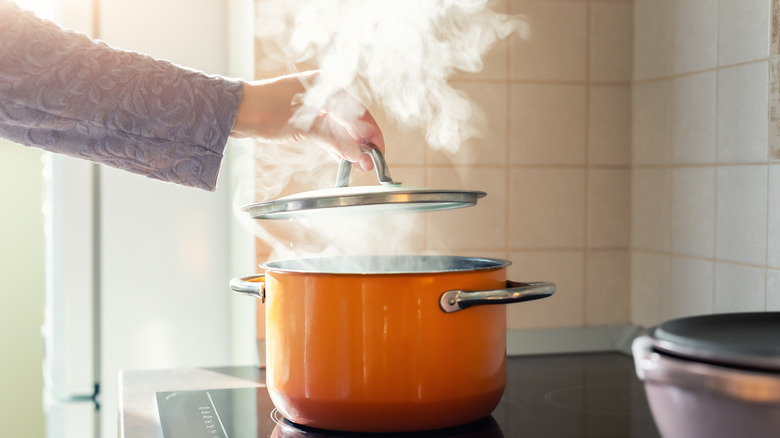 A hand lifts the lid of a pot with steam coming out