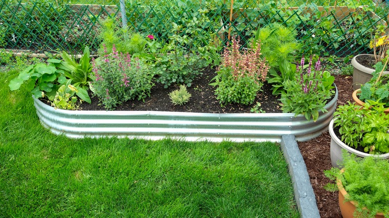 garden with edged flower bed