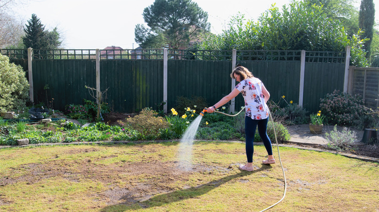 Woman maintaining lawn