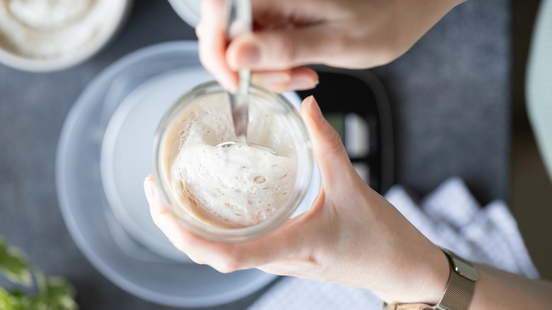 Sourdough starter in the works