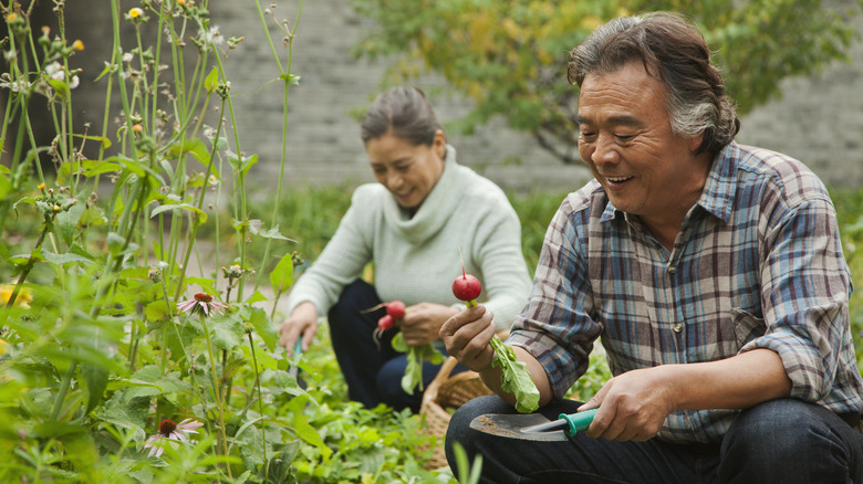 Healthy garden