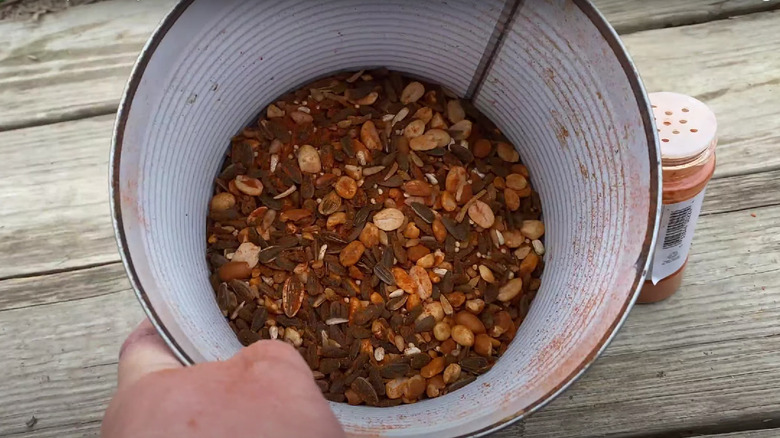 bird feed with cayenne pepper 