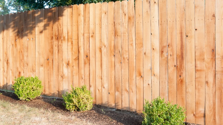 A line of light-colored wood fencing with a simple design