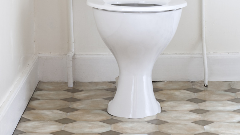 Toilet base on a linoleum floor