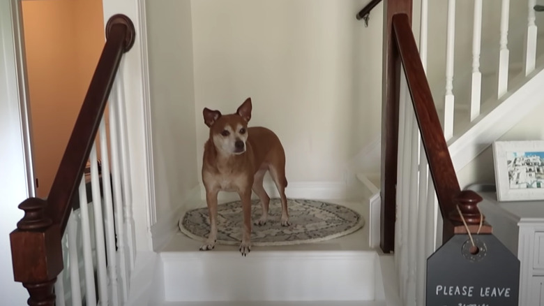 red wood railing on staircase