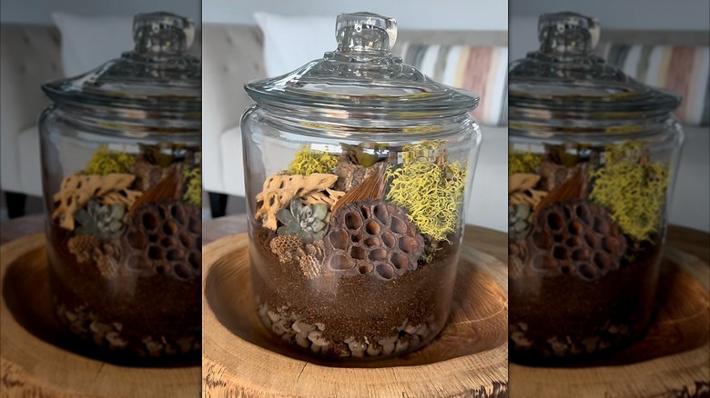 Apothecary jar with a terrarium inside