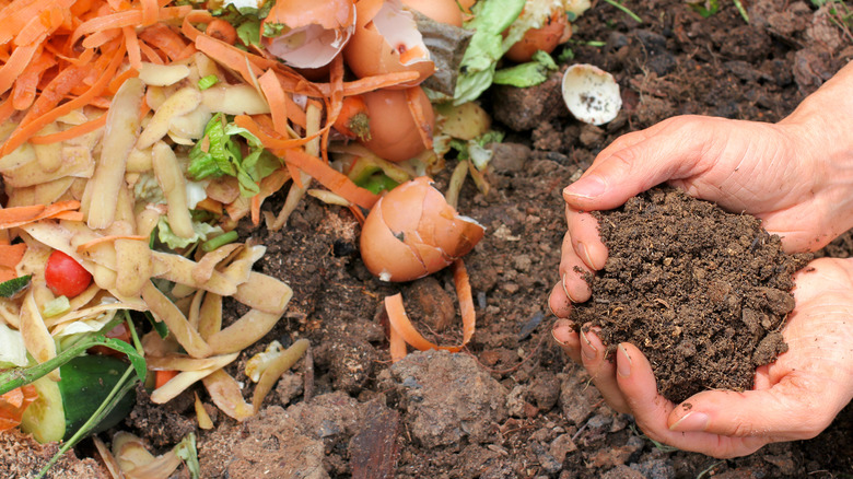 Compost with rich soil