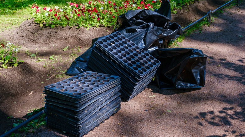 A pile of empty plug trays in the garden next to a flower bed