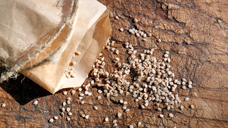 Paper bag with seeds scattered