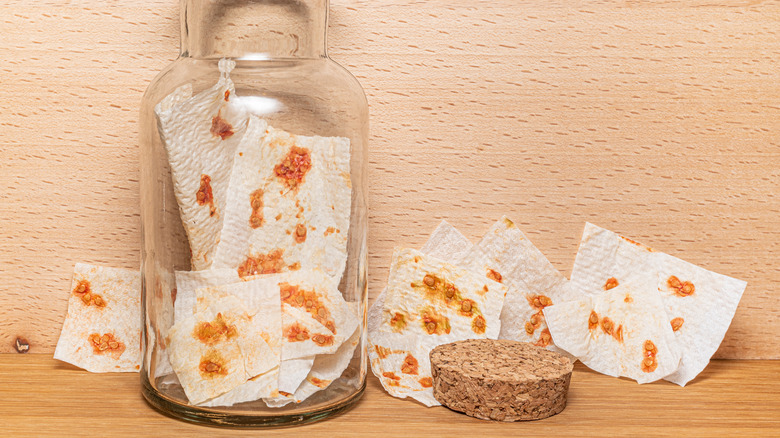 Tomato seeds drying on paper towel