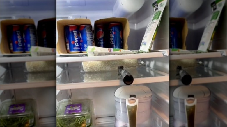 A used paint roller wrapped in plastic film and stored on a shelf in the fridge.