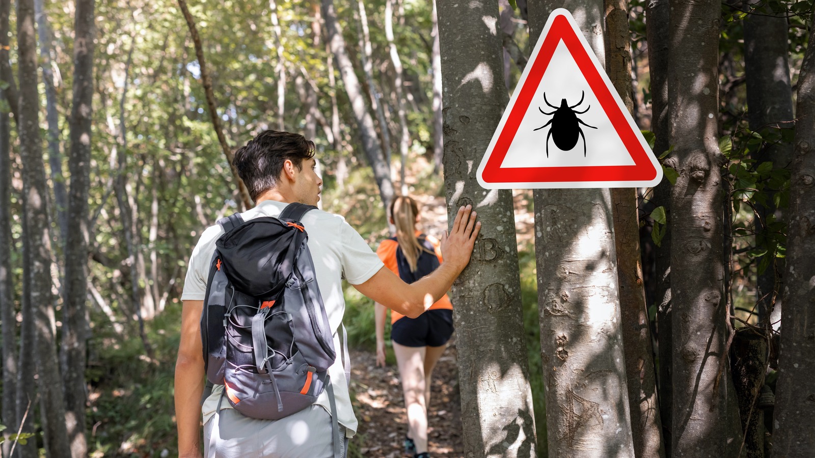 Stay Safe From Ticks With These Simple Ingredients