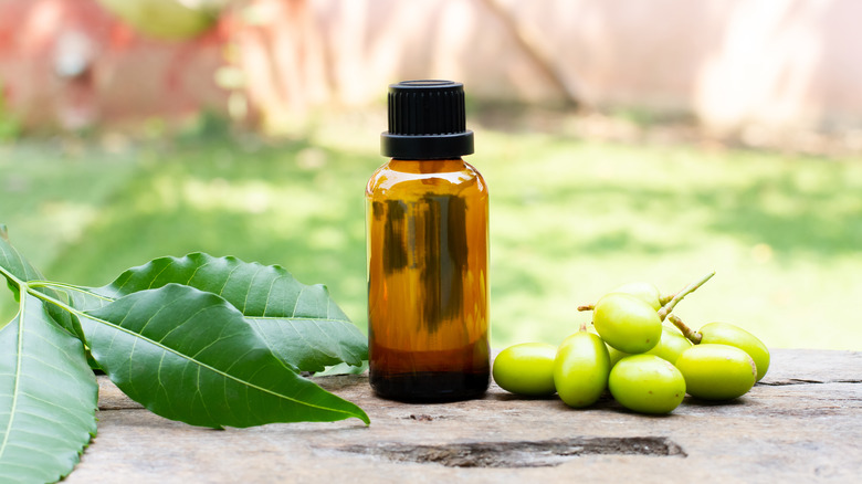 Bottle of neem oil