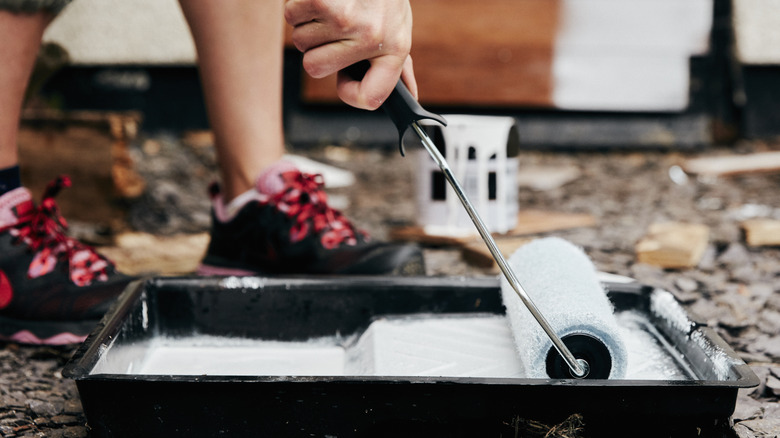 Person removing excess paint from a paint roller