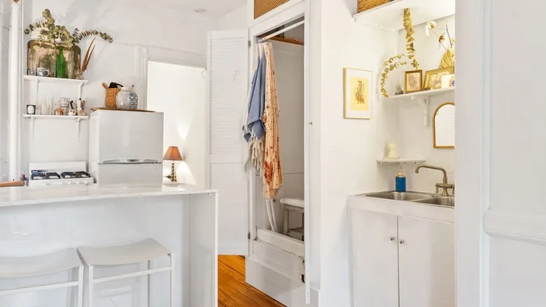 kitchen and shower closet