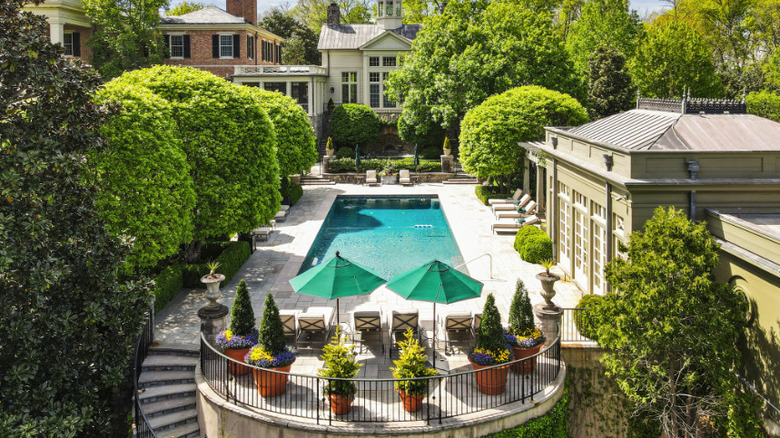 luxurious pool and greenery
