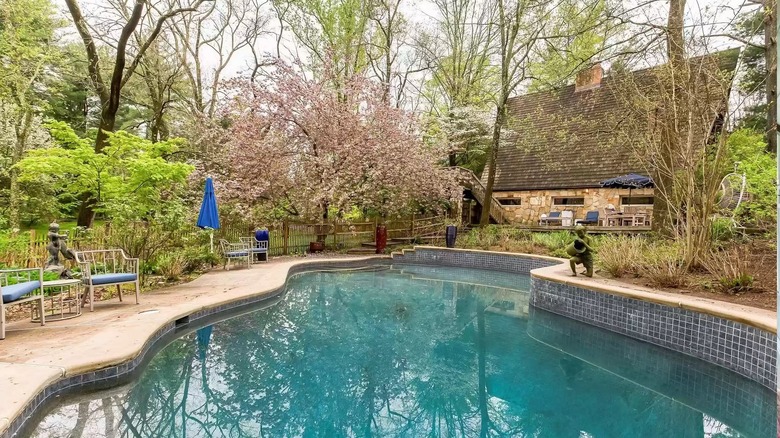 pool surrounded by trees