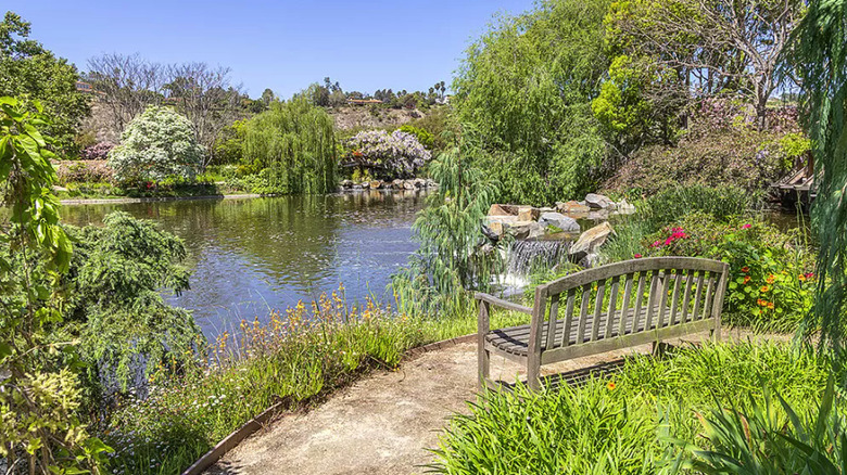 Garden with lake view