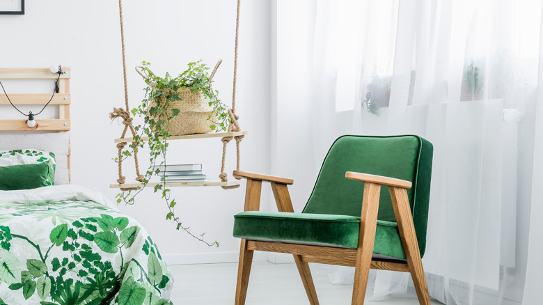 plant on swing in window