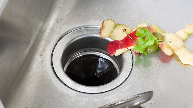 Food scraps near garbage disposal 