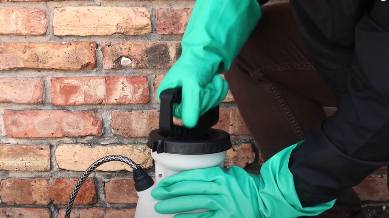 gloved hands holding sprayer