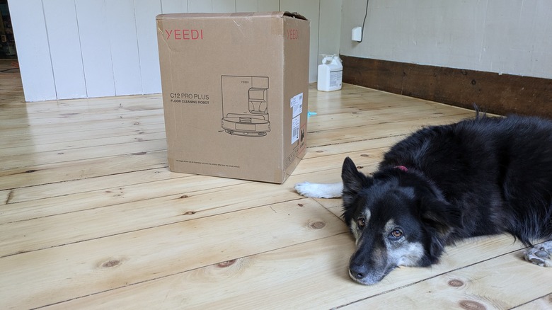 The YEEDI robot vaccum box next to dog