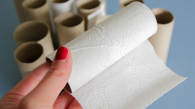 Toilet paper rolls.