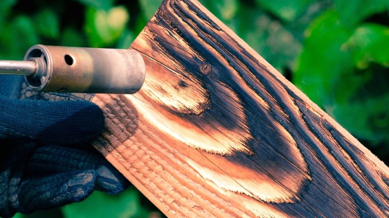 Gloved hand holding half-charred wood board up to blowtorch