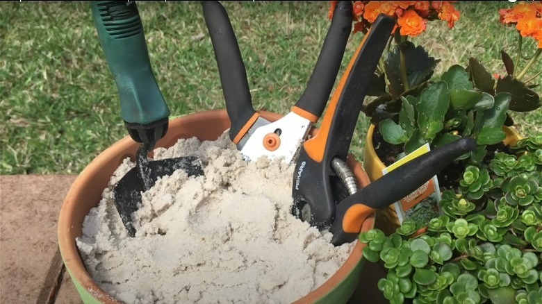 gardening tools in pot of sand
