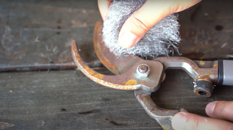 Cleaning tools with steel wool