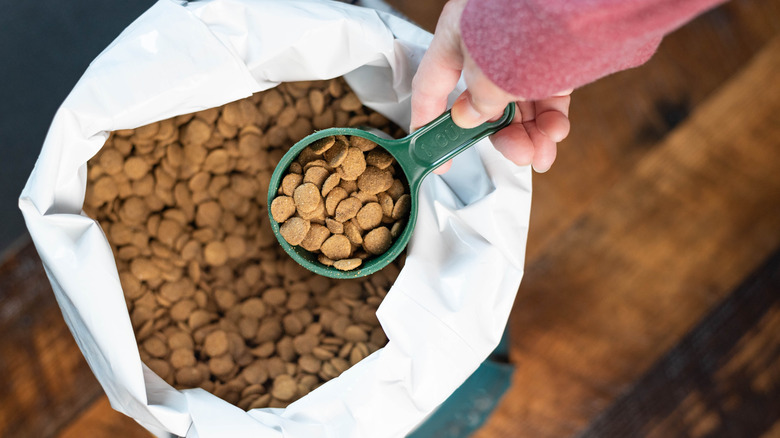 A red-sleeved hand scoops dry pet food from a white bag.