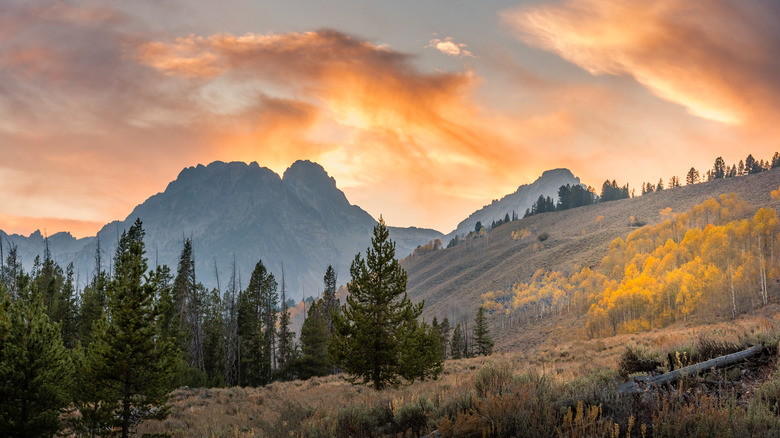 mountains and trees in Idaho