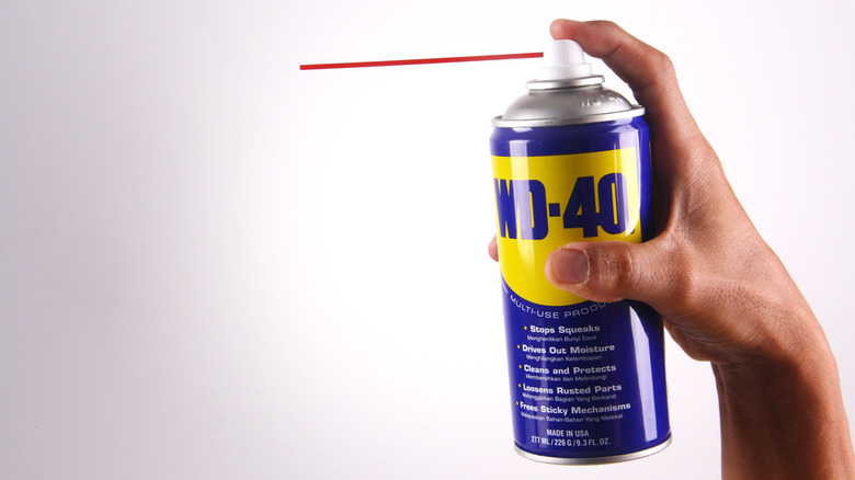 someone spraying WD-40