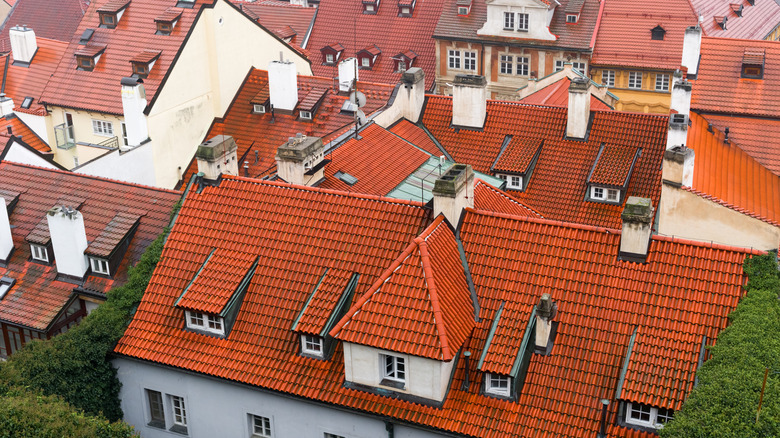 A collection of houses features red roofs