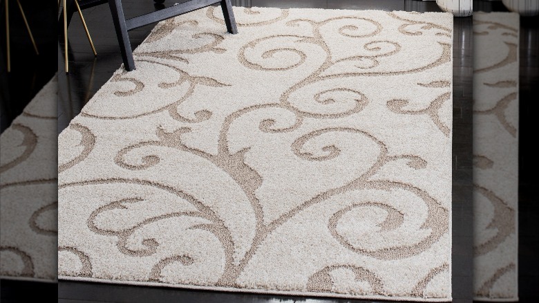 shag rug with delicate details