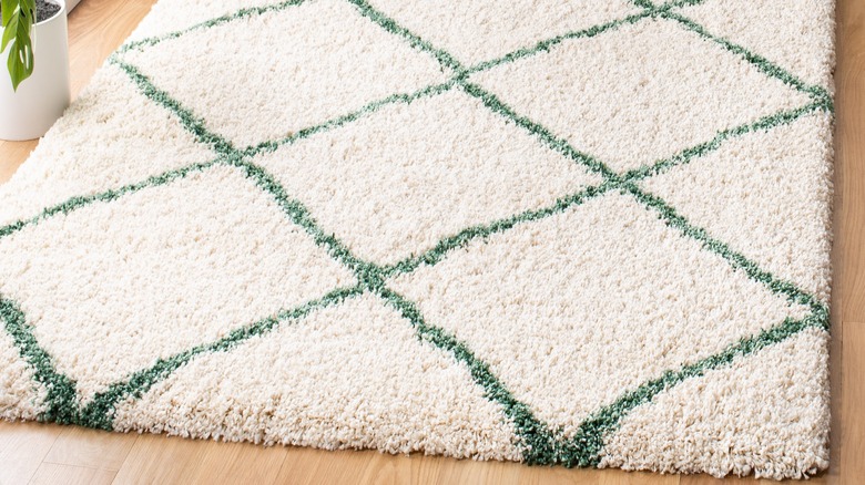 green and white shag rug