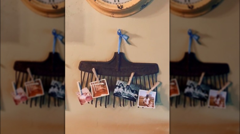 mounted rake photo display