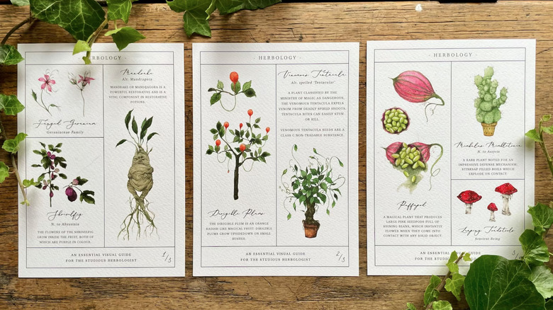 herbology charts with plants