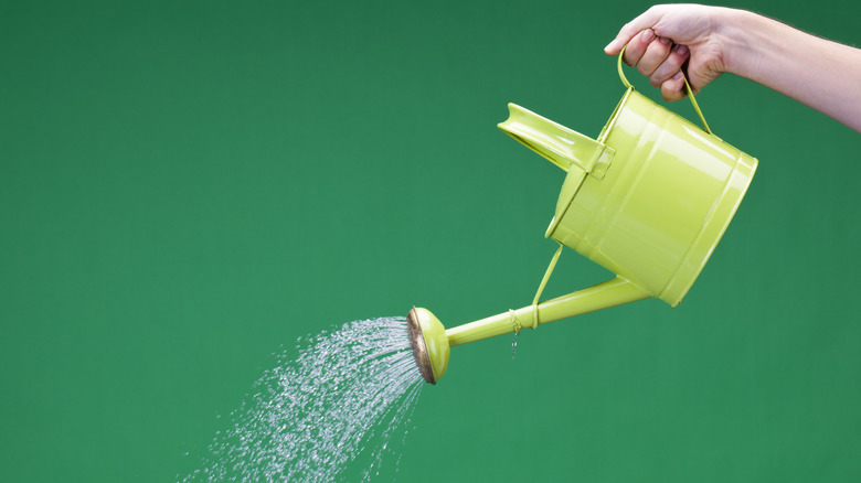 watering can