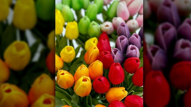 Rainbow tulip bouquets