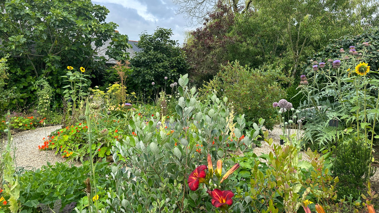 A garden filled with trees, flowering plants, and edible plants.