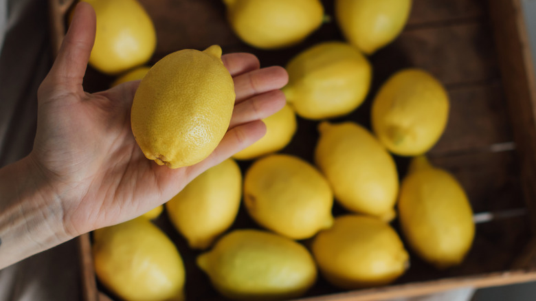 Person holding lemon from crate